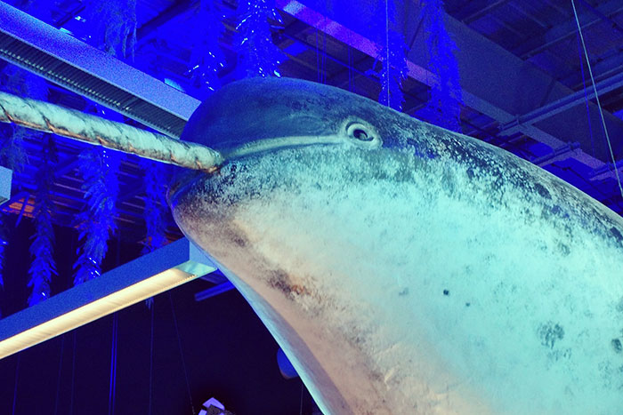 30 Things People Learned Embarrassingly Late In Life