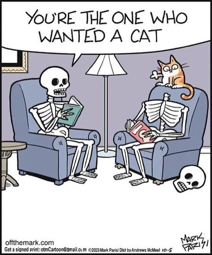 This Artist Sums Up Life With A Cat In His 40 Funny Cartoons This Artist Sums Up Life With A Cat In His 40 Funny Cartoons