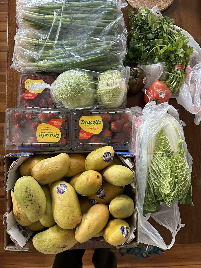 50 People Show How Much Groceries Cost Where They Live (New Pics) 50 People Show How Much Groceries Cost Where They Live (New Pics)