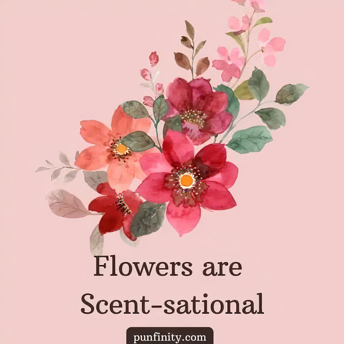 My 38 Cute And Silly Visual Puns