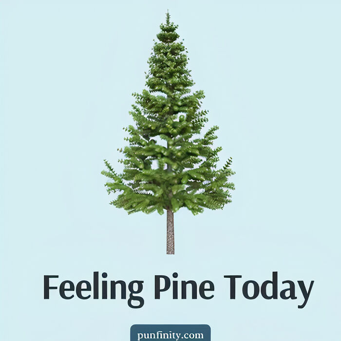 My 38 Cute And Silly Visual Puns