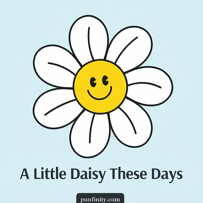 My 38 Cute And Silly Visual Puns