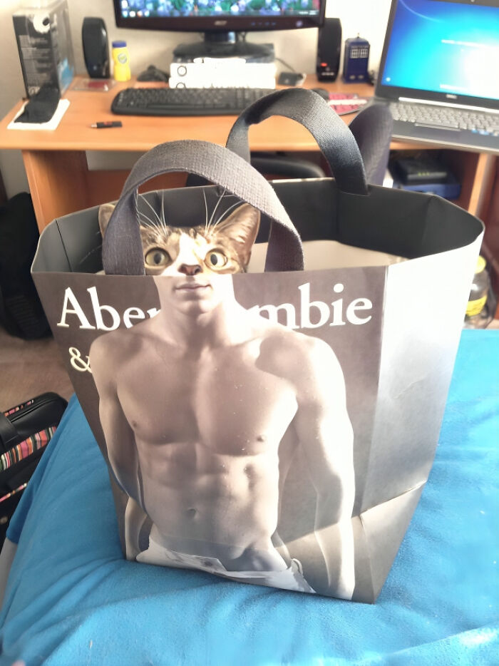 “Pics That Go Hard”: 30 Of The Best Posts From This IG Page (New Pics)