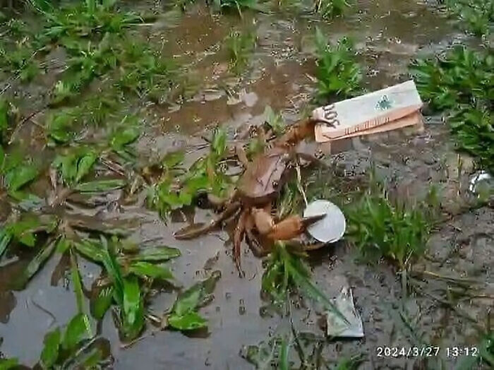 “Pics That Go Hard”: 30 Of The Best Posts From This IG Page (New Pics)