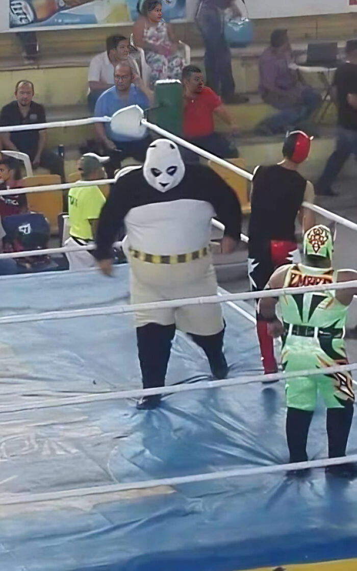 “Pics That Go Hard”: 30 Of The Best Posts From This IG Page (New Pics)