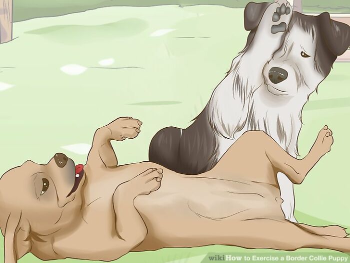 Here Are 30 Wikihow Posts Out Of Context Here Are 30 Wikihow Posts Out Of Context