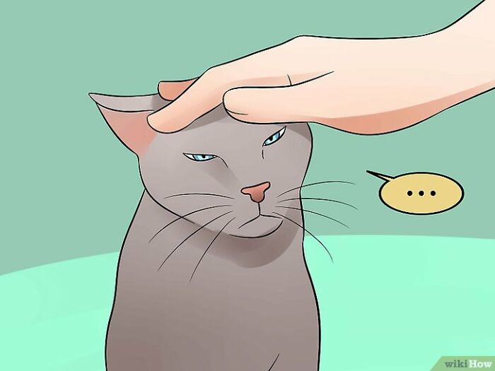Here Are 30 Wikihow Posts Out Of Context Here Are 30 Wikihow Posts Out Of Context