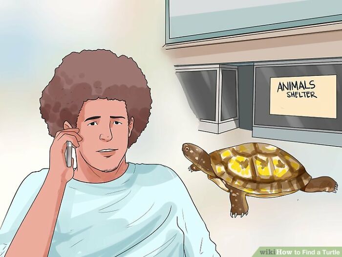 Here Are 30 Wikihow Posts Out Of Context Here Are 30 Wikihow Posts Out Of Context