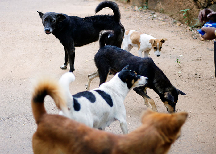 “The Sound And Smell Never Leave”: 30 People Share The Absolute Scariest Things They’ve Seen “The Sound And Smell Never Leave”: 30 People Share The Absolute Scariest Things They’ve Seen