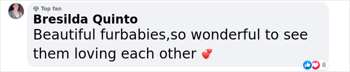 Woman Shares Video Of Her Dog Asking Cat Best Friend For A ‘Bath,’ It Goes Viral Online Woman Shares Video Of Her Dog Asking Cat Best Friend For A ‘Bath,’ It Goes Viral Online