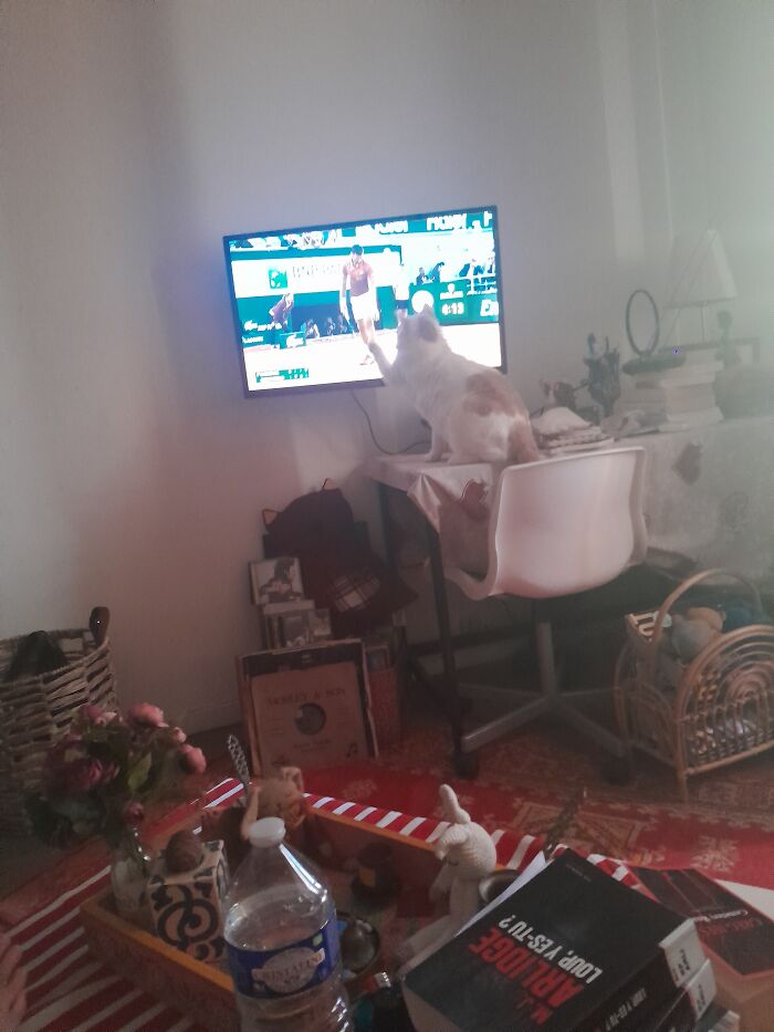 Hey Pandas, Post A Picture Of Your Rescue Pet And Tell Their Story Hey Pandas, Post A Picture Of Your Rescue Pet And Tell Their Story