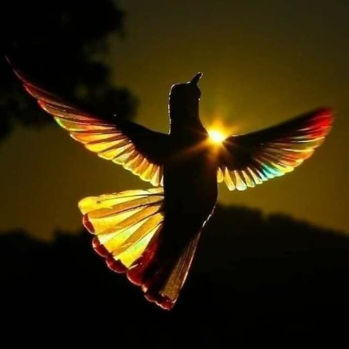 Hey Pandas, Post A Random Photo Or Screenshot On Your Mobile Phone Hey Pandas, Post A Random Photo Or Screenshot On Your Mobile Phone