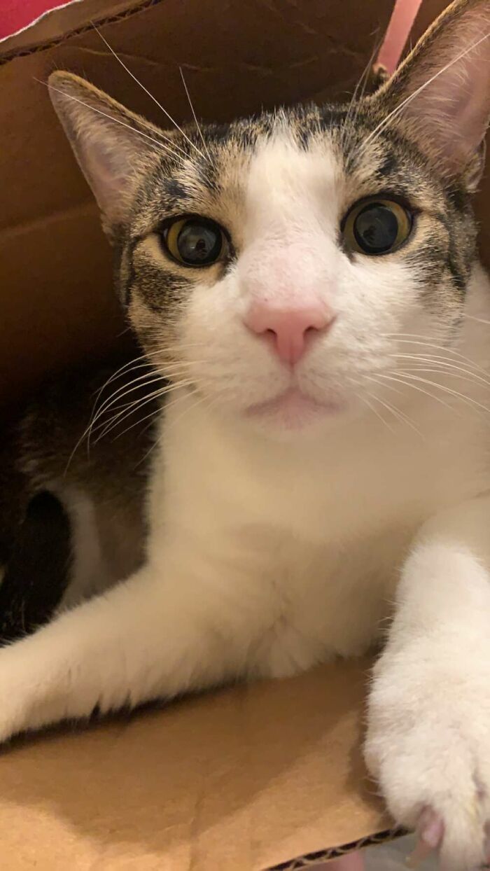 Hey Pandas, Post A Random Photo Or Screenshot On Your Mobile Phone Hey Pandas, Post A Random Photo Or Screenshot On Your Mobile Phone