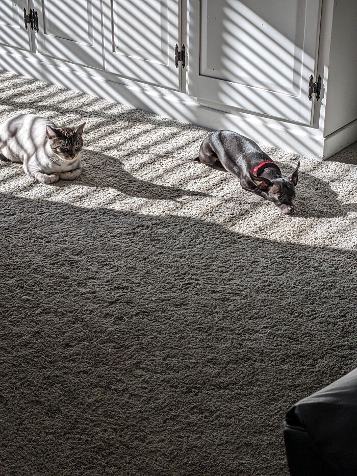 Hey Pandas, Post A Random Photo Or Screenshot On Your Mobile Phone Hey Pandas, Post A Random Photo Or Screenshot On Your Mobile Phone