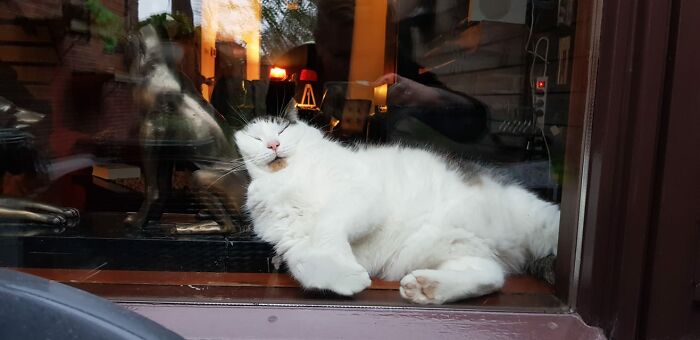 Hey Pandas, Post A Picture Of Your Pet’s Toe Beans (Closed) Hey Pandas, Post A Picture Of Your Pet’s Toe Beans (Closed)