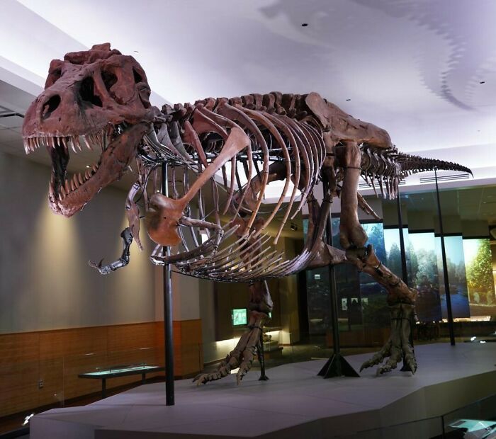 History Enthusiasts Are Sharing History Facts That Many People Would Find Shocking (50 Facts) History Enthusiasts Are Sharing History Facts That Many People Would Find Shocking (50 Facts)