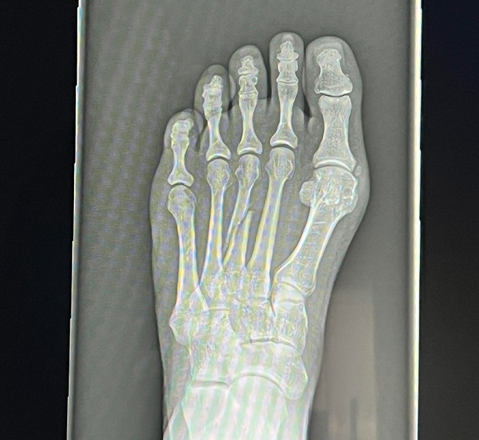 History Enthusiasts Are Sharing History Facts That Many People Would Find Shocking (50 Facts) History Enthusiasts Are Sharing History Facts That Many People Would Find Shocking (50 Facts)