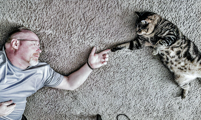 50 Hilariously Blessed Pics That Prove That Cats Are Godsent