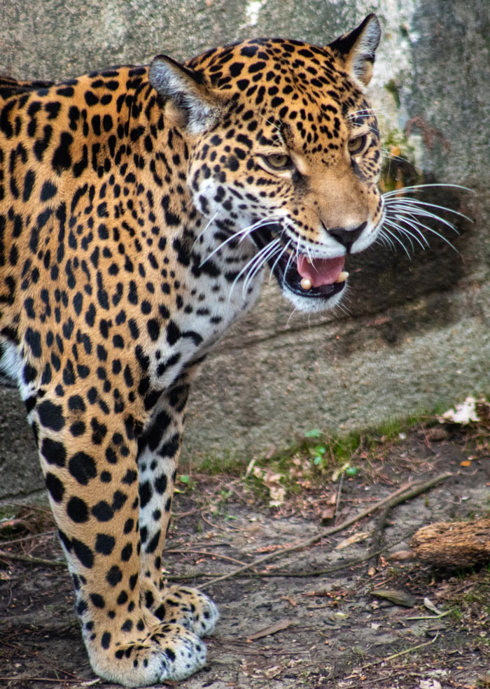 “The Toilet Paper Rush”: 50 Stories Parents Just Can’t Wait To Tell Their Kids When They Grow Up “The Toilet Paper Rush”: 50 Stories Parents Just Can’t Wait To Tell Their Kids When They Grow Up