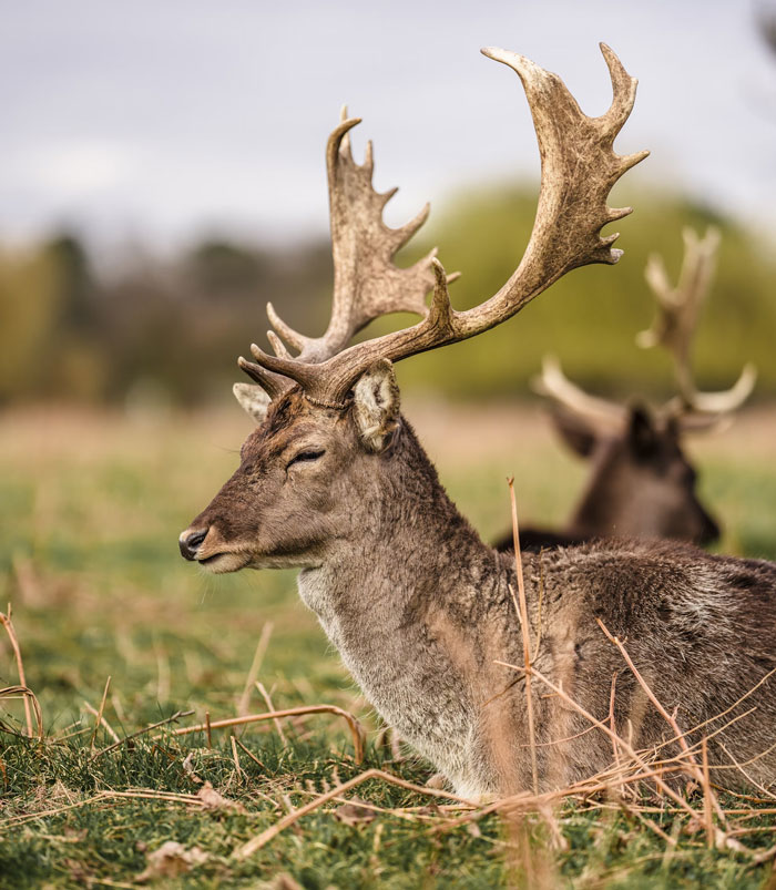 “The Toilet Paper Rush”: 50 Stories Parents Just Can’t Wait To Tell Their Kids When They Grow Up “The Toilet Paper Rush”: 50 Stories Parents Just Can’t Wait To Tell Their Kids When They Grow Up