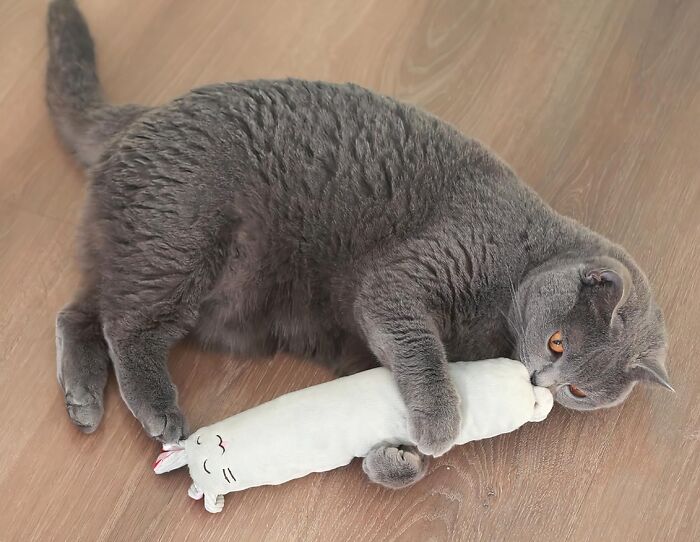 The Pandas Have Spoken: These Are The 100 Best Selling Products The Pandas Have Spoken: These Are The 100 Best Selling Products