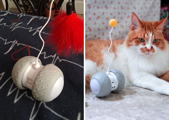 The Pandas Have Spoken: These Are The 100 Best Selling Products The Pandas Have Spoken: These Are The 100 Best Selling Products