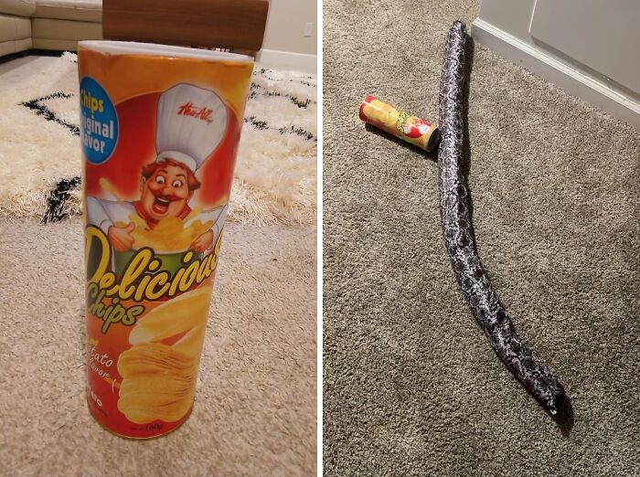 The Pandas Have Spoken: These Are The 100 Best Selling Products The Pandas Have Spoken: These Are The 100 Best Selling Products