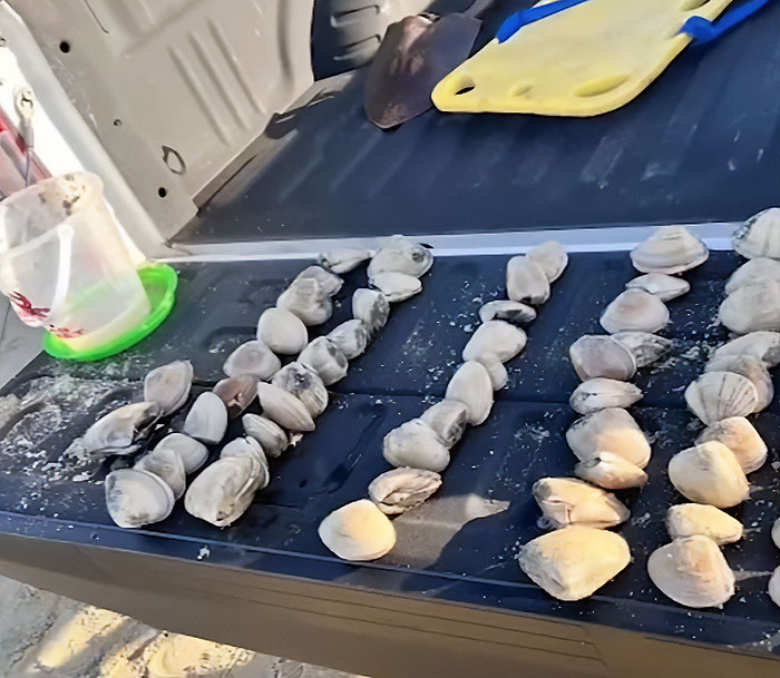 “It Ruined Our Trip”: Mom Fined $88k After Kids Pick Up 72 Clams Thinking They Were Seashells “It Ruined Our Trip”: Mom Fined $88k After Kids Pick Up 72 Clams Thinking They Were Seashells