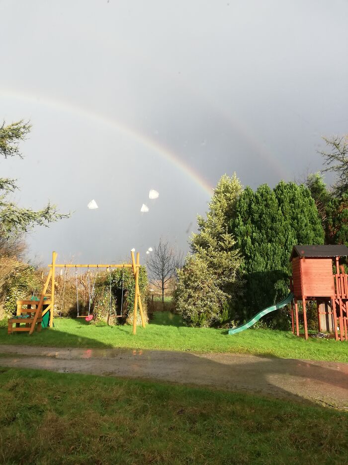 Hey Pandas, Post A Picture Of Your Garden (Closed) Hey Pandas, Post A Picture Of Your Garden (Closed)