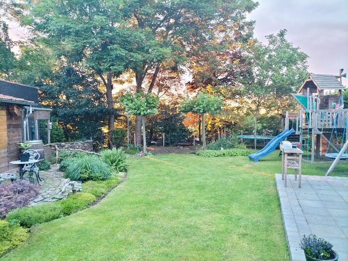 Hey Pandas, Post A Picture Of Your Garden (Closed) Hey Pandas, Post A Picture Of Your Garden (Closed)