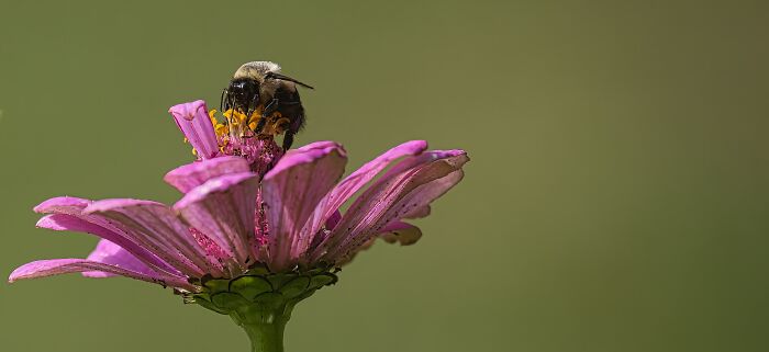 Hey Pandas, Post A Picture Of Your Garden (Closed) Hey Pandas, Post A Picture Of Your Garden (Closed)