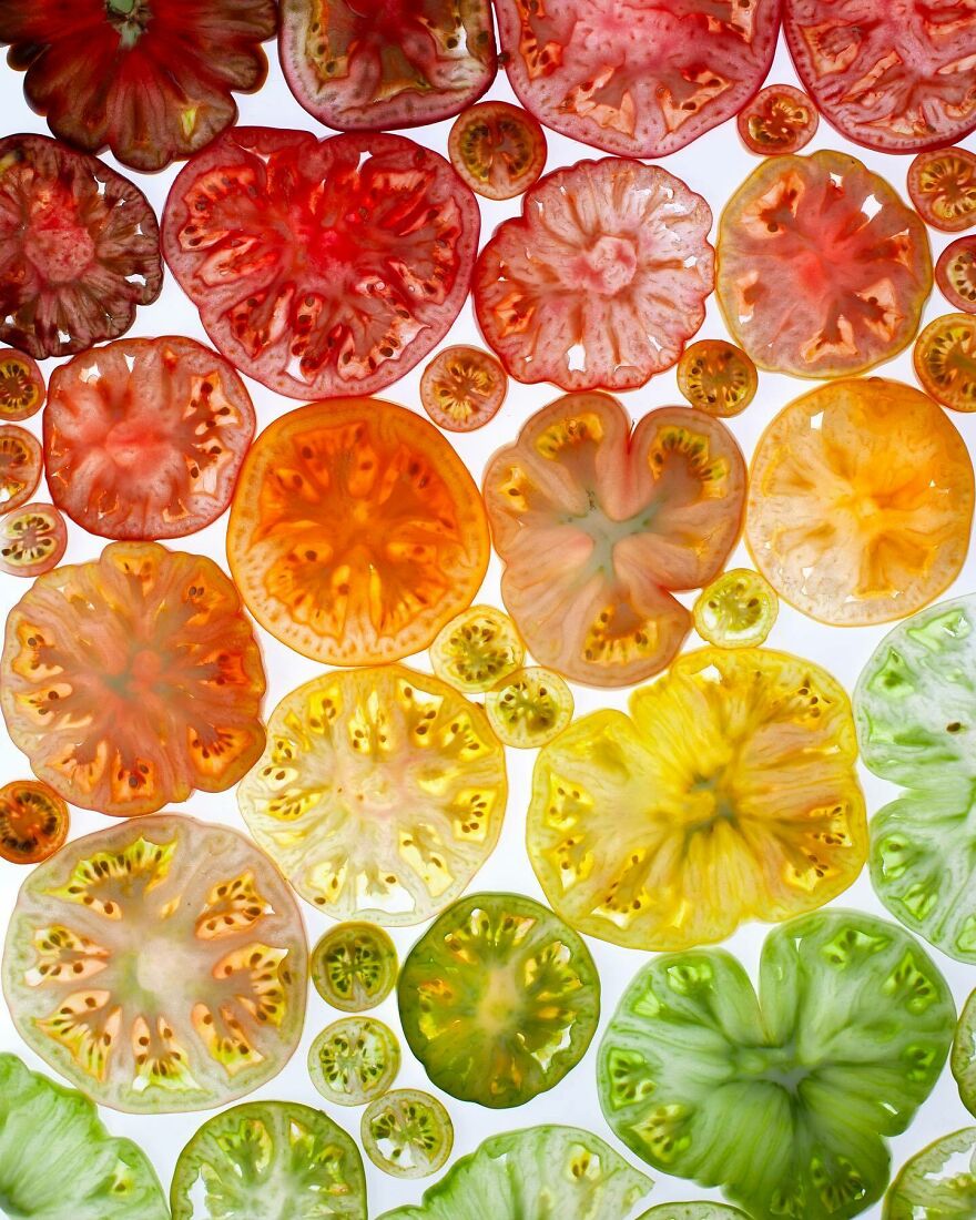 70 Captivating Gradient Photos Of Ordinary Items By Brittany Wright 70 Captivating Gradient Photos Of Ordinary Items By Brittany Wright