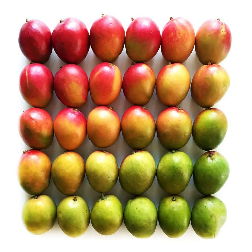 70 Captivating Gradient Photos Of Ordinary Items By Brittany Wright 70 Captivating Gradient Photos Of Ordinary Items By Brittany Wright