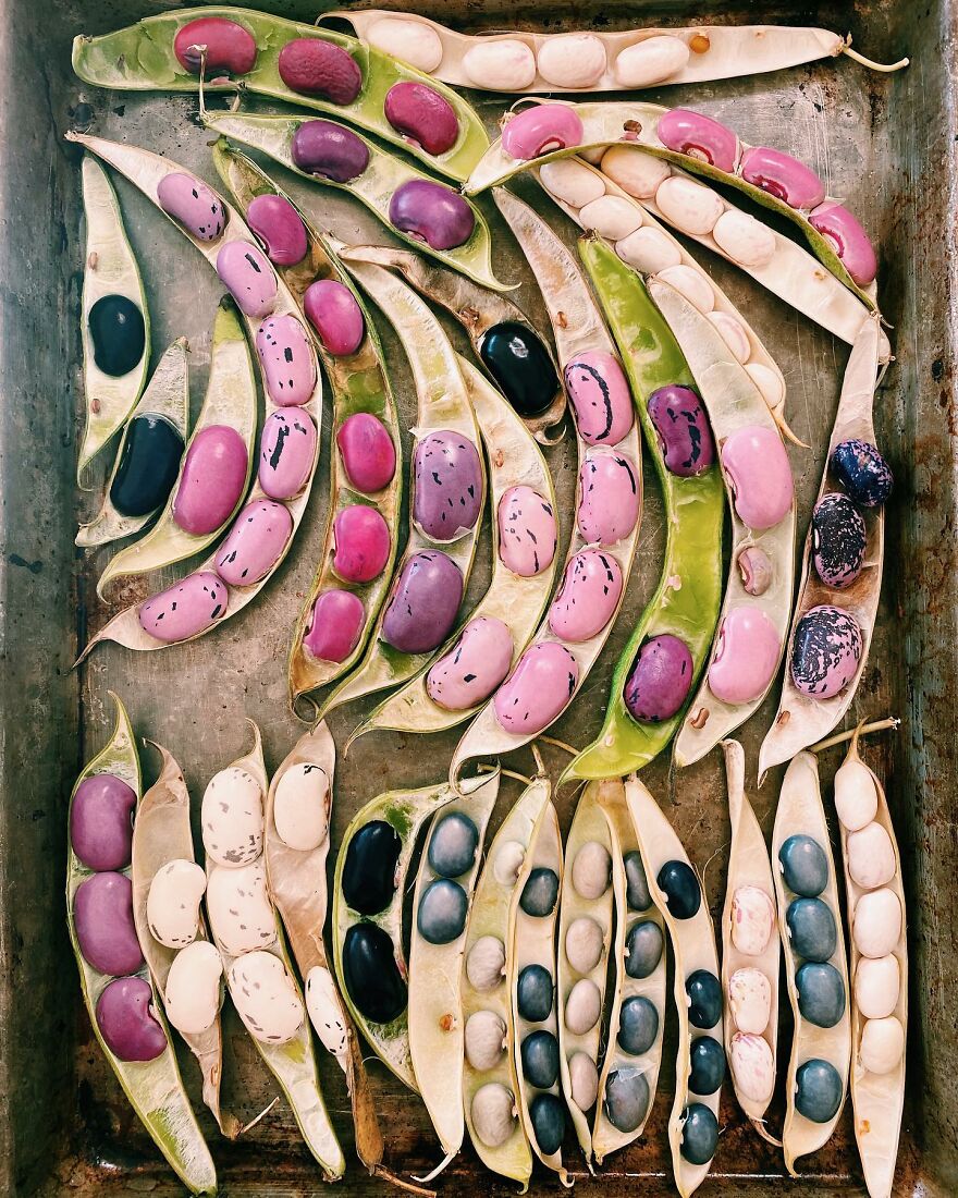 70 Captivating Gradient Photos Of Ordinary Items By Brittany Wright 70 Captivating Gradient Photos Of Ordinary Items By Brittany Wright