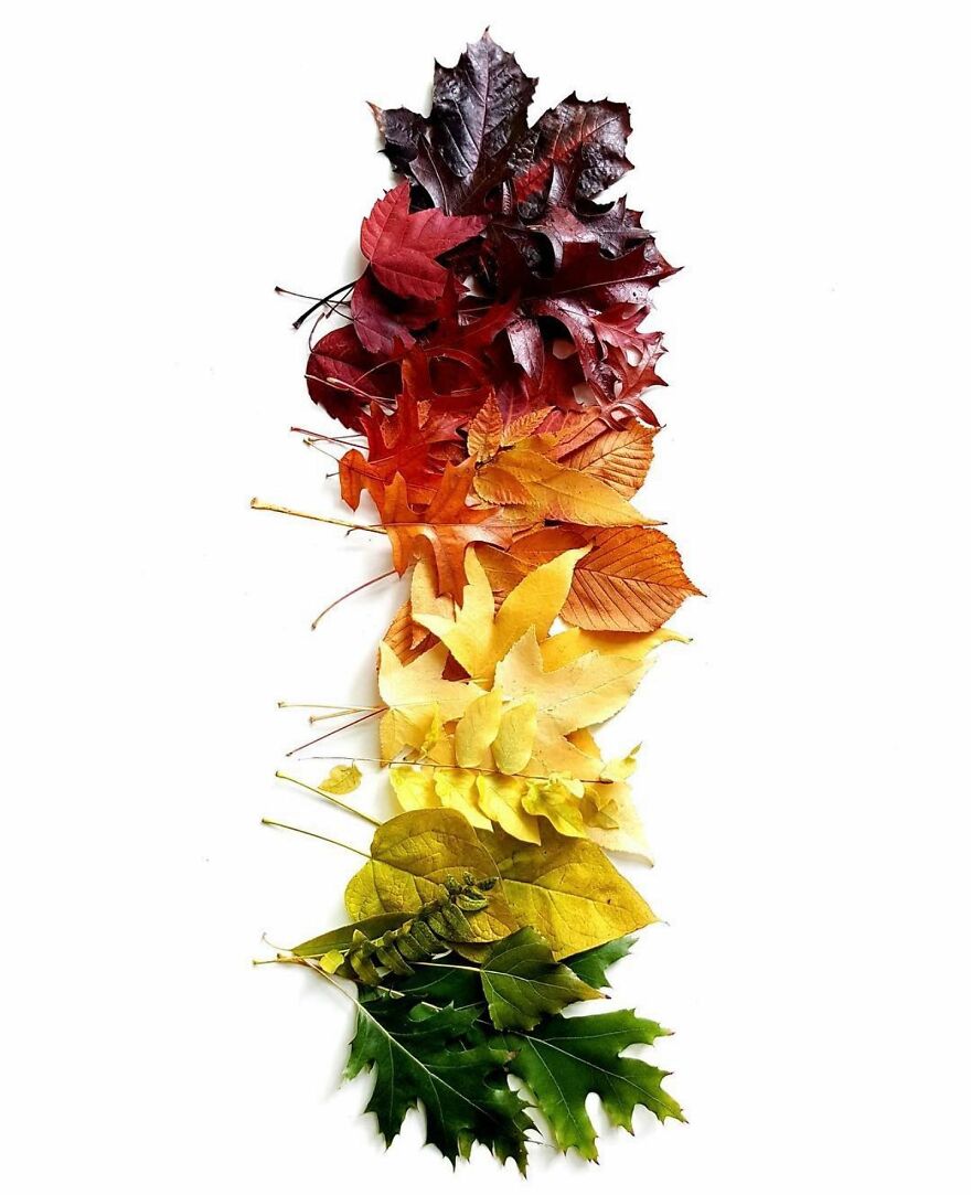 70 Captivating Gradient Photos Of Ordinary Items By Brittany Wright 70 Captivating Gradient Photos Of Ordinary Items By Brittany Wright