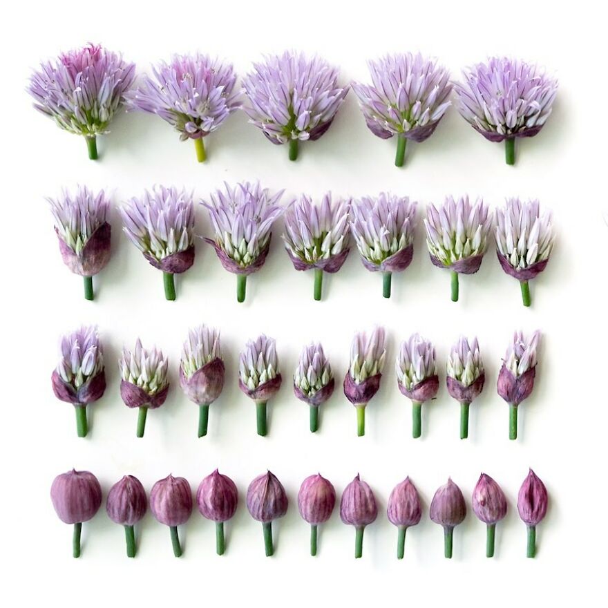 70 Captivating Gradient Photos Of Ordinary Items By Brittany Wright 70 Captivating Gradient Photos Of Ordinary Items By Brittany Wright