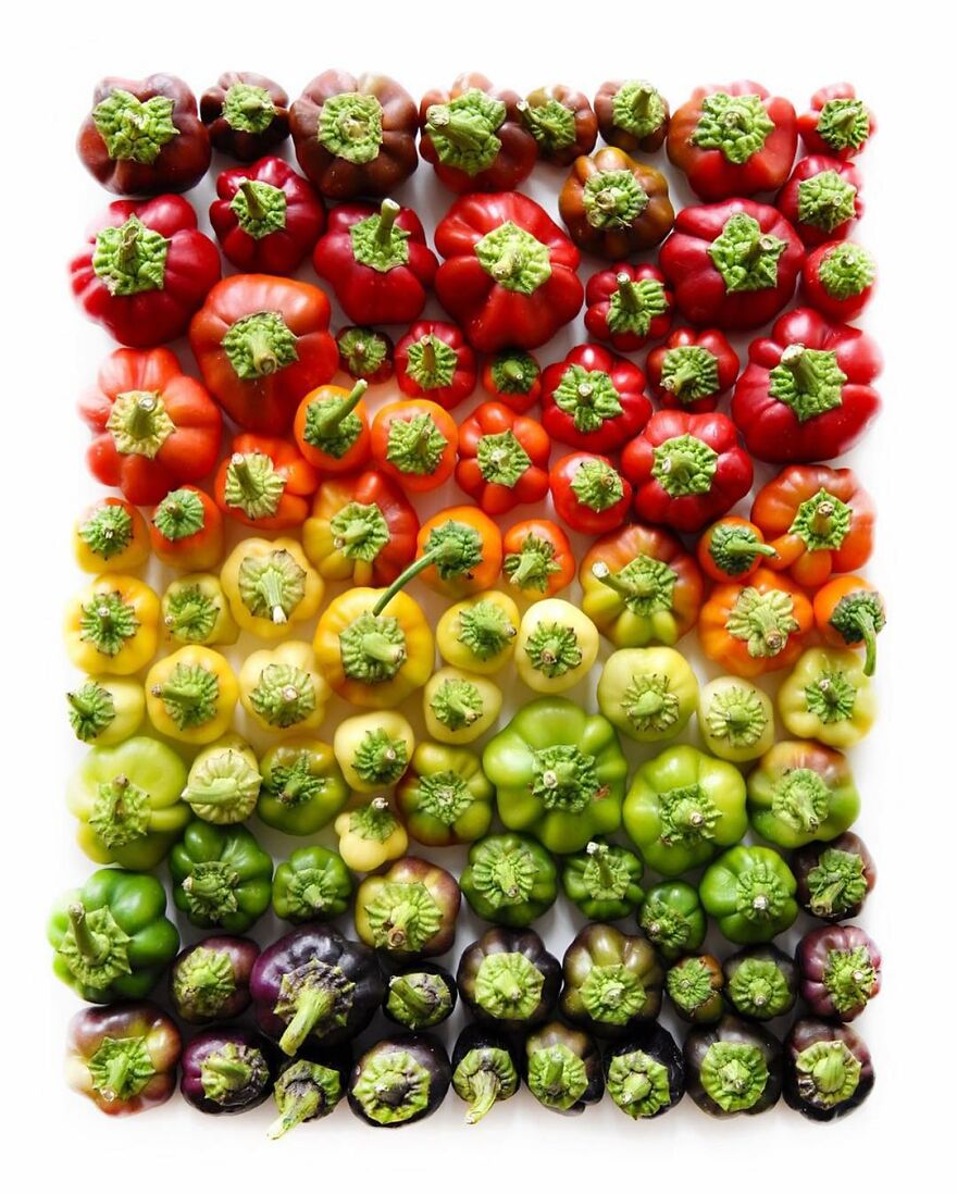 70 Captivating Gradient Photos Of Ordinary Items By Brittany Wright 70 Captivating Gradient Photos Of Ordinary Items By Brittany Wright