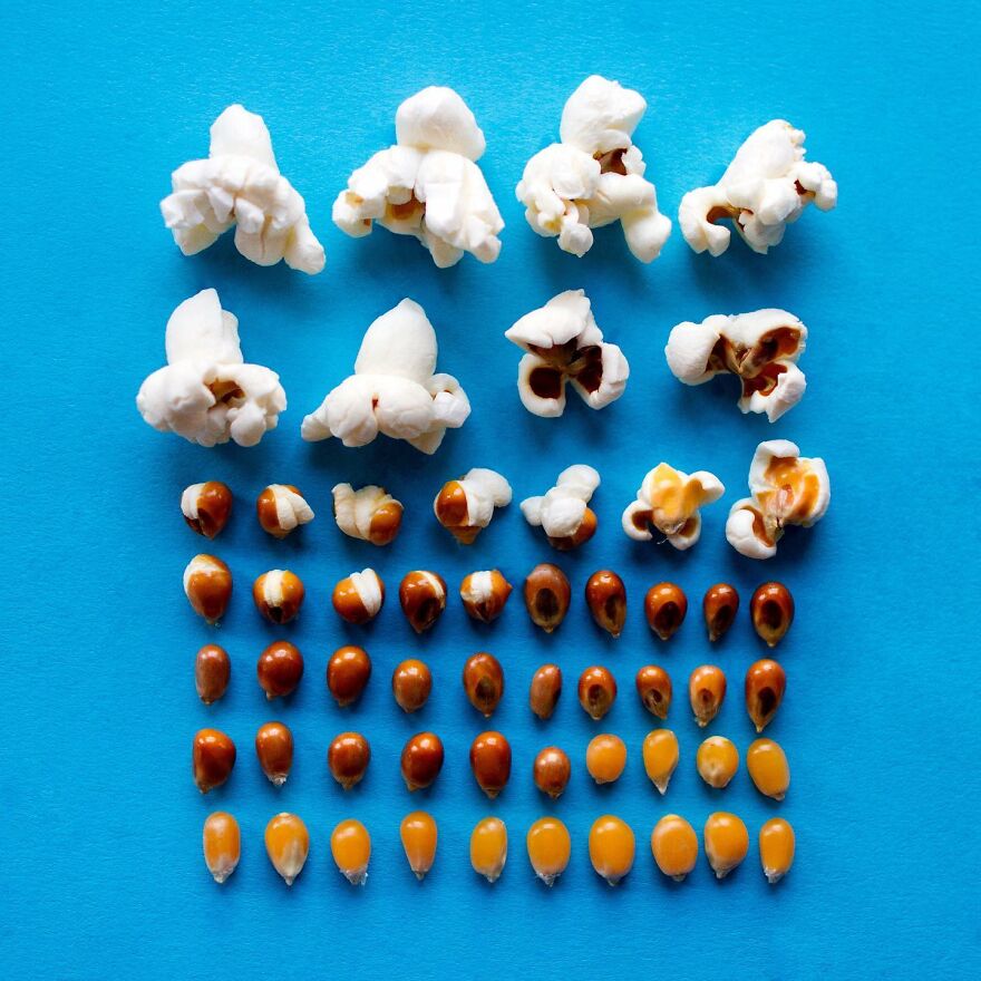 70 Captivating Gradient Photos Of Ordinary Items By Brittany Wright 70 Captivating Gradient Photos Of Ordinary Items By Brittany Wright