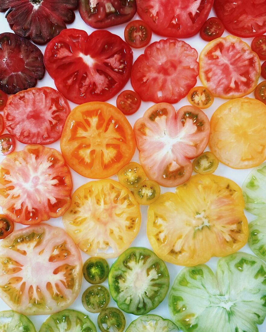 70 Captivating Gradient Photos Of Ordinary Items By Brittany Wright 70 Captivating Gradient Photos Of Ordinary Items By Brittany Wright