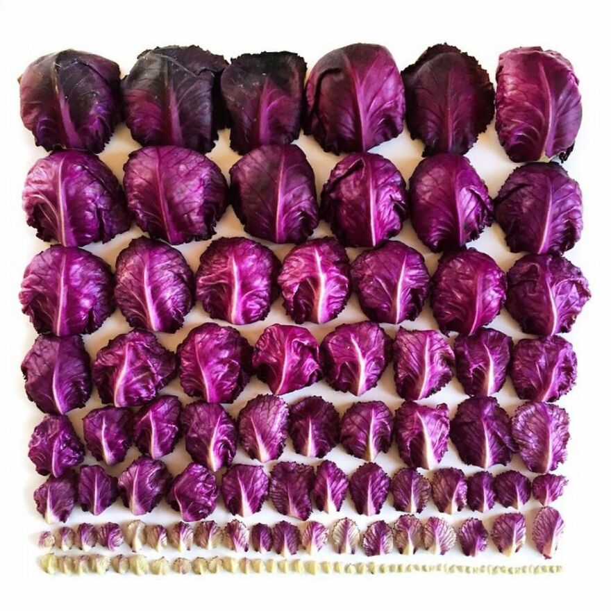 70 Captivating Gradient Photos Of Ordinary Items By Brittany Wright 70 Captivating Gradient Photos Of Ordinary Items By Brittany Wright