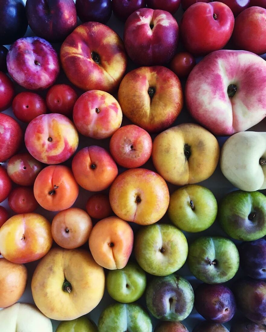 70 Captivating Gradient Photos Of Ordinary Items By Brittany Wright 70 Captivating Gradient Photos Of Ordinary Items By Brittany Wright