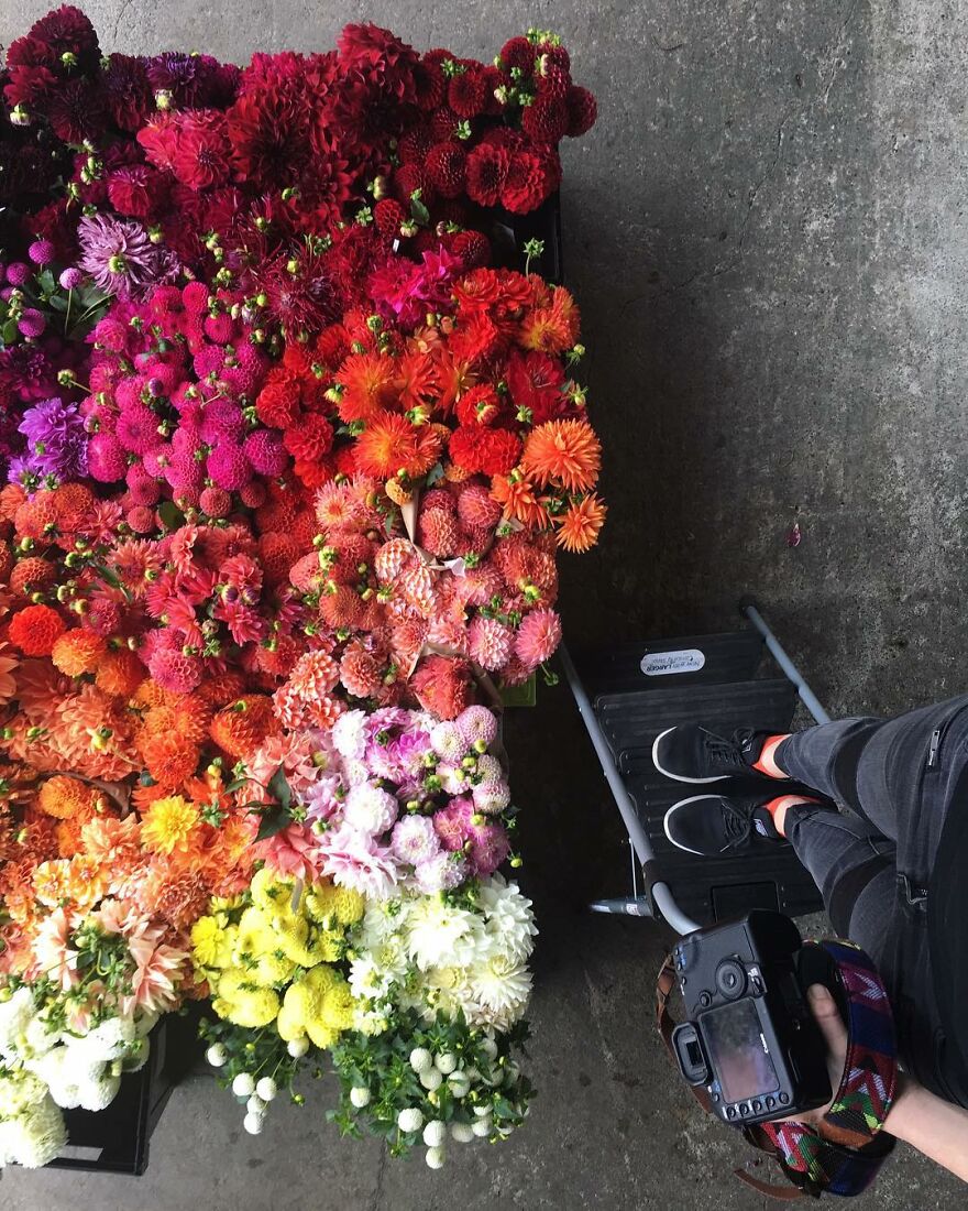 70 Captivating Gradient Photos Of Ordinary Items By Brittany Wright 70 Captivating Gradient Photos Of Ordinary Items By Brittany Wright