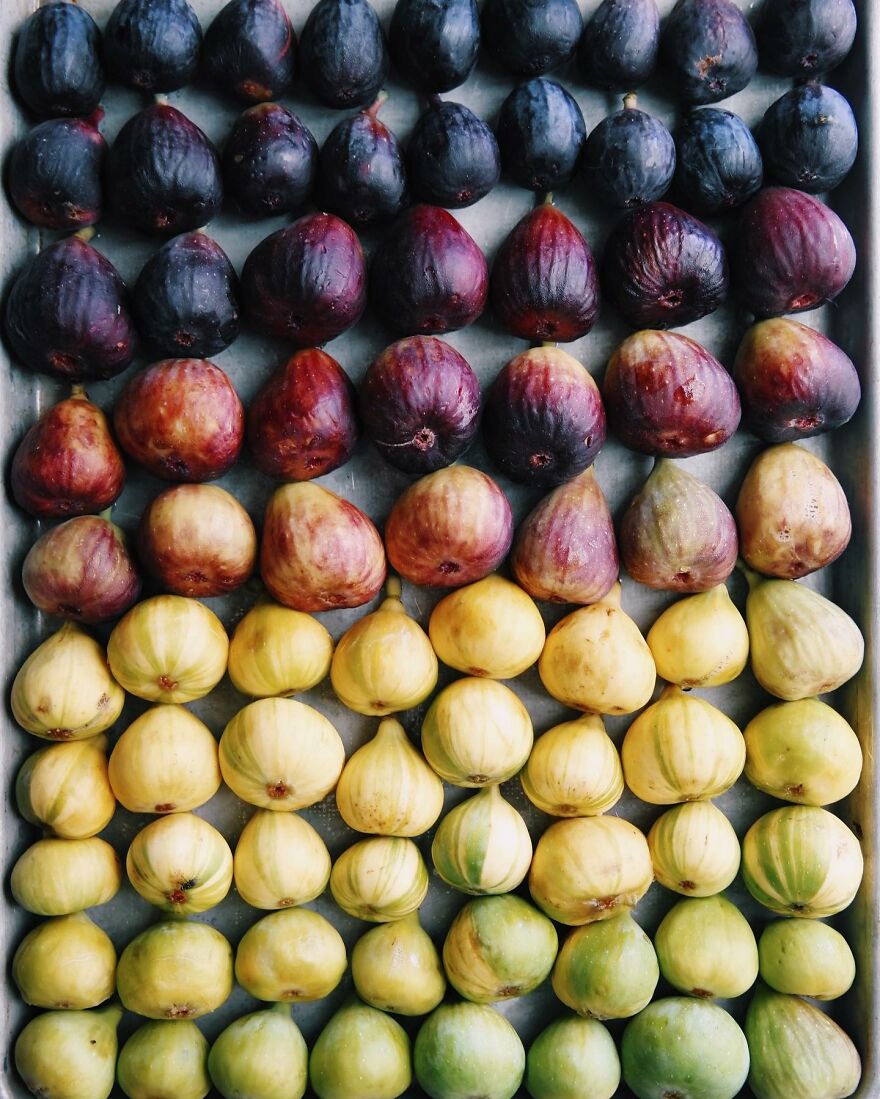 70 Captivating Gradient Photos Of Ordinary Items By Brittany Wright 70 Captivating Gradient Photos Of Ordinary Items By Brittany Wright