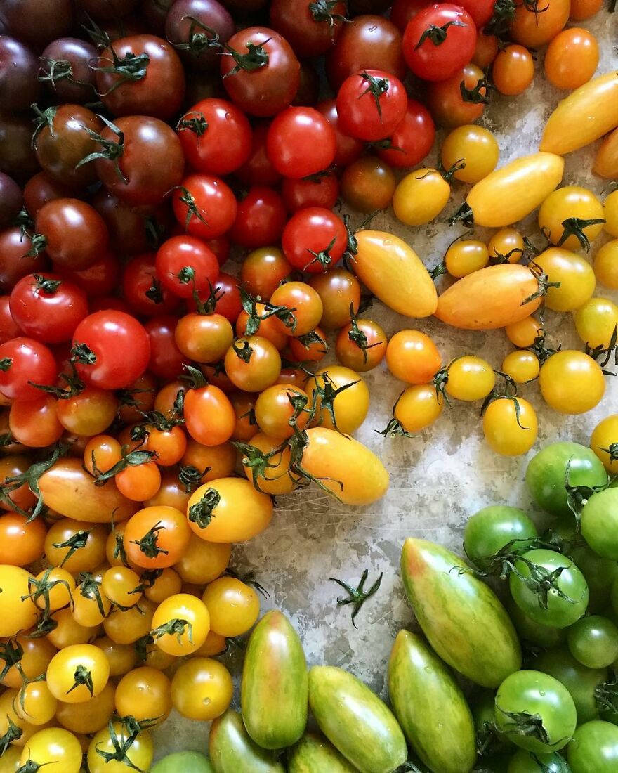 70 Captivating Gradient Photos Of Ordinary Items By Brittany Wright 70 Captivating Gradient Photos Of Ordinary Items By Brittany Wright