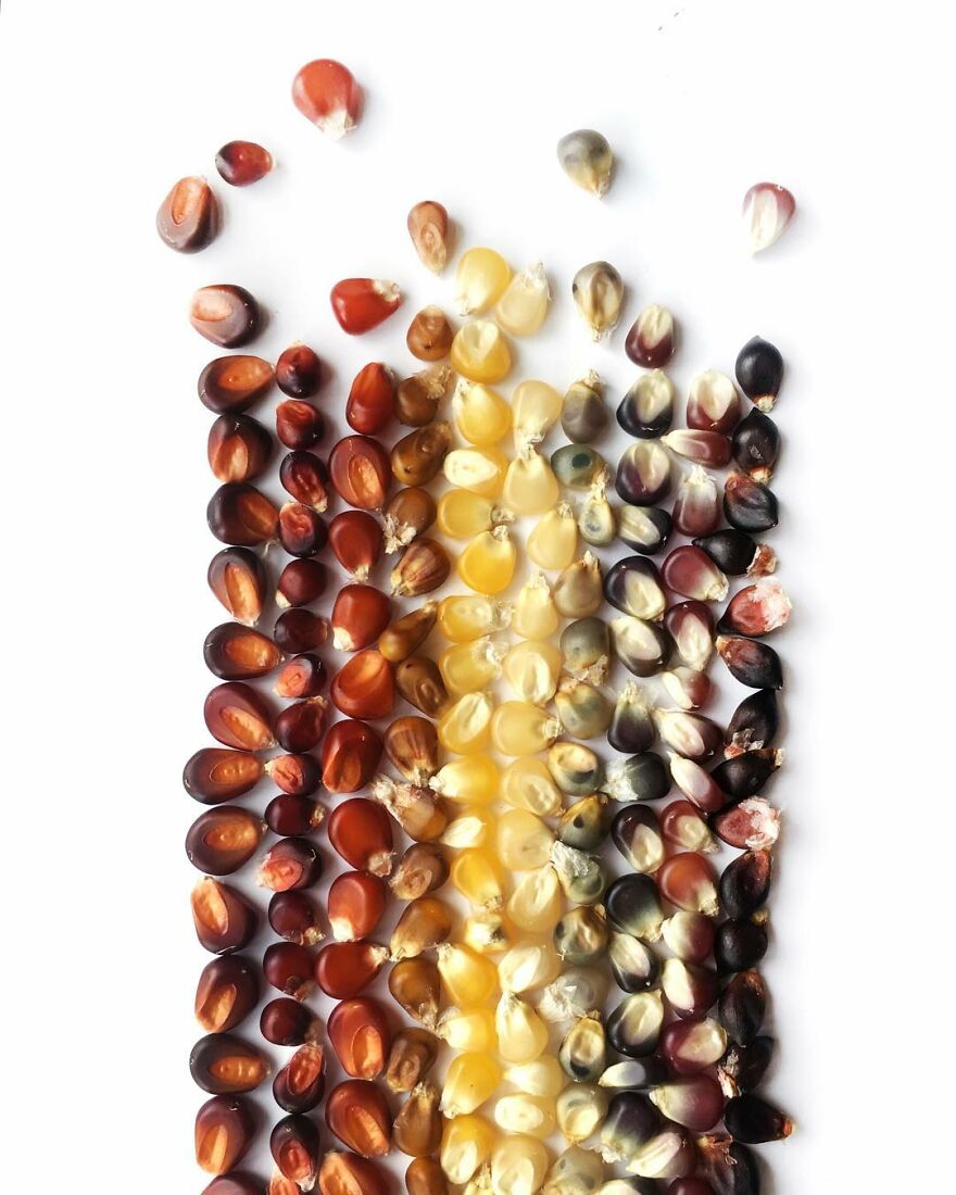 70 Captivating Gradient Photos Of Ordinary Items By Brittany Wright 70 Captivating Gradient Photos Of Ordinary Items By Brittany Wright