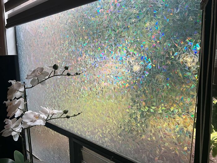 These 50 Random Things Are Borderline Genius And We Want Them All These 50 Random Things Are Borderline Genius And We Want Them All