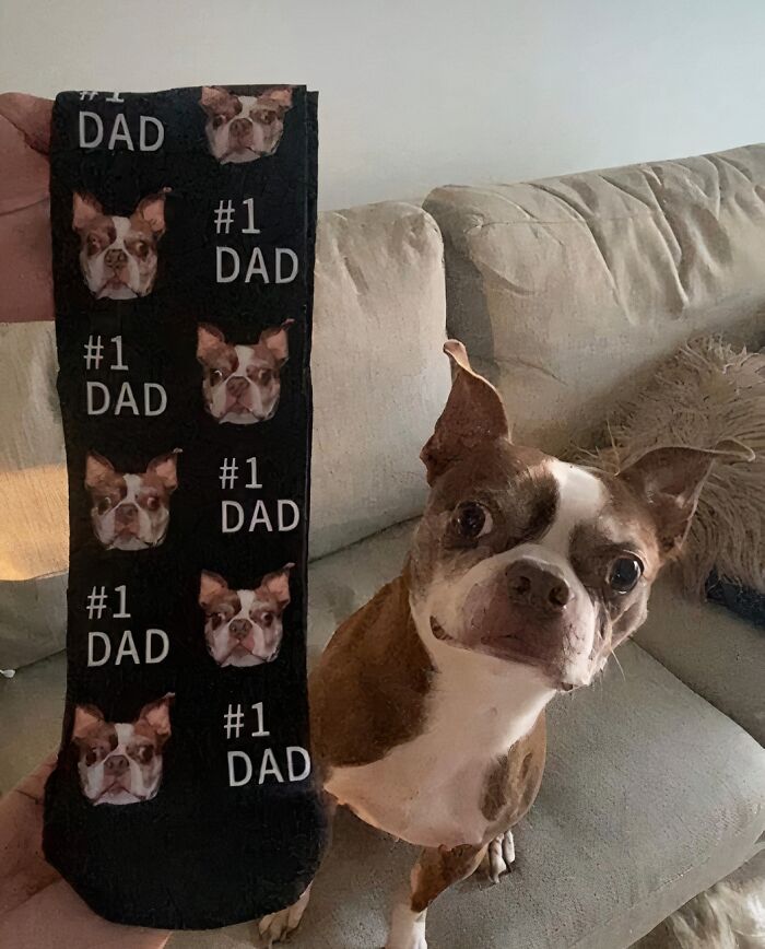 These 50 Random Things Are Borderline Genius And We Want Them All These 50 Random Things Are Borderline Genius And We Want Them All