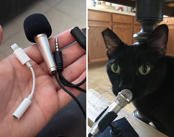 These 50 Random Things Are Borderline Genius And We Want Them All These 50 Random Things Are Borderline Genius And We Want Them All