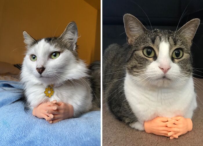 These 50 Random Things Are Borderline Genius And We Want Them All These 50 Random Things Are Borderline Genius And We Want Them All