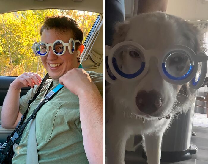 23 Items That Are So Good, Pandas Can’t Resist Them 23 Items That Are So Good, Pandas Can’t Resist Them